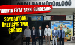Fındıkta Fiyat Farkı Gündemde: Soydan’dan Üreticiye TMO Çağrısı
