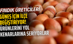 Fındık Üreticileri Güneş İçin İlçe Değiştiriyor! Ürünlerini Yol Kenarlarına Seriyorlar