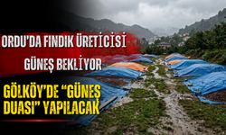 Ordu’da Fındık Üreticisi Güneş Bekliyor: Gölköy’de “Güneş Duası” Yapılacak