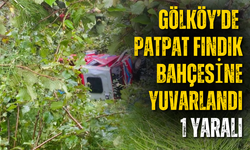 Gölköy’de Patpat Fındık Bahçesine Yuvarlandı: 1 Yaralı