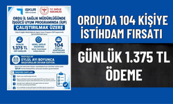 Ordu’da 104 Kişiye İstihdam Fırsatı: Günlük 1.375 TL Ödeme