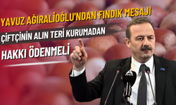 Yavuz Ağıralioğlu'ndan Fındık Mesajı: Çiftçinin Alın Teri Kurumadan Hakkı Ödenmeli