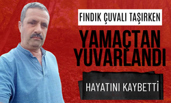 Fındık Çuvalı Taşırken Yamaçtan Yuvarlandı, Hayatını Kaybetti
