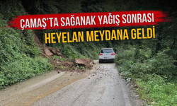 Çamaş’ta Sağanak Yağış Sonrası Heyelan Meydana Geldi