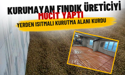 Kurumayan Fındık Üreticiyi Mucit Yaptı: Yerden Isıtmalı Kurutma Alanı Kurdu