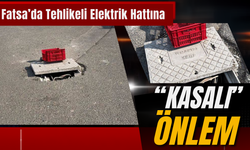 Fatsa’da Tehlikeli Elektrik Hattına “Kasalı” Önlem