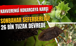 Kahverengi Kokarcaya Karşı Sonbahar Seferberliği! 26 Bin Tuzak Devrede