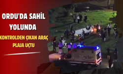 Ordu'da Sahil Yolunda Kontrolden Çıkan Araç Plaja Uçtu