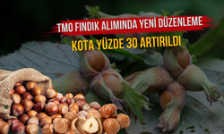 TMO Fındık Alımında Yeni Düzenleme: Kota Yüzde 30 Artırıldı