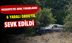 MESUDIYE'DE ARAÇ YUVARLANDI: 6 YARALI ORDU'YA SEVK EDİLDİ