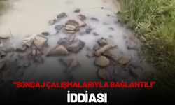 “SONDAJ ÇALIŞMALARIYLA BAĞLANTILI” İDDİASI
