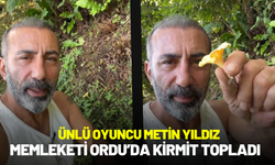 Ünlü Oyuncu Metin Yıldız, Memleketi Ordu’da Kirmit Topladı