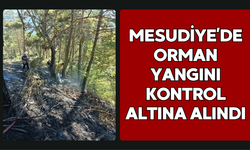 Mesudiye’de Orman Yangını Kontrol Altına Alındı