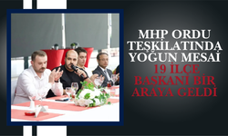 MHP Ordu Teşkilatında Yoğun Mesai: 19 İlçe Başkanı Bir Araya Geldi