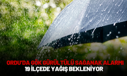 Ordu’da Gök Gürültülü Sağanak Alarmı: 19 İlçede Yağış Bekleniyor