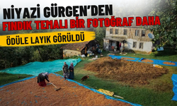 Niyazi Gürgen’den Fındık Temalı Bir Fotoğraf Daha Ödüle Layık Görüldü