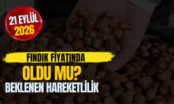 Fındık Fiyatında Beklenen Hareketlilik Oldu Mu?