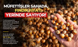 MÜFETTİŞLER SAHADA, FINDIK FİYATI YERİNDE SAYIYOR!
