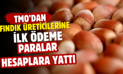 TMO’dan Fındık Üreticilerine İlk Ödeme: Paralar Hesaplara Yattı