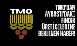 TMO’dan Aybastı’daki Fındık Üreticilerine Beklenen Haber!