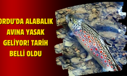 Ordu’da Alabalık Avına Yasak Geliyor! Tarih Belli Oldu