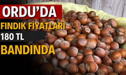 Ordu’da Fındık Fiyatları 180 TL Bandında
