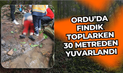 Ordu’da Fındık Toplarken 30 Metreden Yuvarlandı