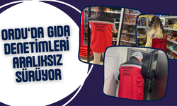 Ordu’da Gıda Denetimleri Aralıksız Sürüyor