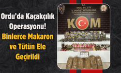 Ordu’da Kaçakçılık Operasyonu: Binlerce Makaron ve Tütün Ele Geçirildi