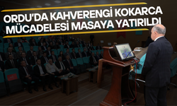 Ordu’da Kahverengi Kokarca Mücadelesi Masaya Yatırıldı