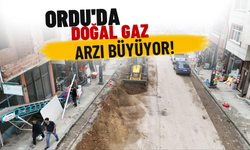 Ordu'da Doğal Gaz Arzı Büyüyor!