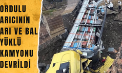 ORDULU ARICININ ARI VE BAL YÜKLÜ KAMYONU DEVRİLDİ