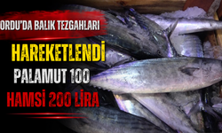 ORDU’DA BALIK TEZGAHLARI HAREKETLENDİ: PALAMUT 100, HAMSİ 200 LİRA