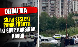 Ordu’da Silah Sesleri Panik Yarattı: İki Grup Arasında Kavga