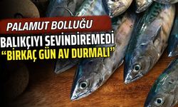 Palamut Bolluğu Balıkçıyı Sevindiremedi: “Birkaç Gün Av Durmalı”