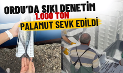 Ordu’da Sıkı Denetim: 1.000 Ton Palamut Sevk Edildi