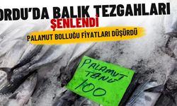 Ordu’da Balık Tezgahları Şenlendi: Palamut Bolluğu Fiyatları Düşürdü