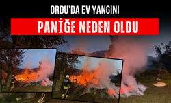 Ordu’da Ev Yangını Paniğe Neden Oldu