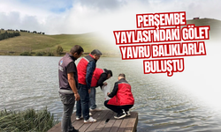 Perşembe Yaylası’ndaki Gölet Yavru Balıklarla Buluştu