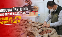Ordu’da Üreticinin TMO Mesaisi Sürüyor: Randevu Sayısı 40 Bine Ulaştı