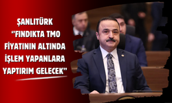 Şanlıtürk: Fındıkta TMO Fiyatının Altında İşlem Yapanlara Yaptırım Gelecek