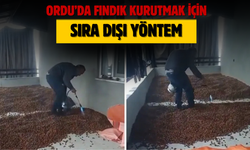 Ordu’da Fındık Kurutmak İçin Sıra Dışı Yöntem