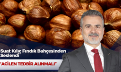 Suat Kılıç Fındık Bahçesinden Seslendi: “Acilen Tedbir Alınmalı”