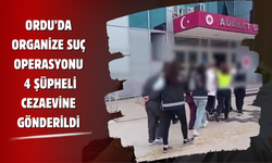 Ordu’da Organize Suç Operasyonu: 4 Şüpheli Cezaevine Gönderildi