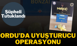 Ordu’da Uyuşturucu Operasyonu: Şüpheli Tutuklandı