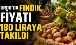 Ordu’da fındık fiyatı 180 liraya takıldı