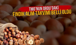 TMO’nun Ordu’daki Fındık Alım Takvimi Belli Oldu