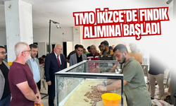 TMO İkizce’de Fındık Alımına Başladı