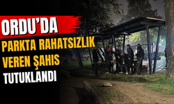 Ordu’da, Parkta Rahatsızlık Veren Şahıs Tutuklandı