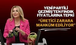 YENİ PARTİLİ GEZMİŞ’TEN FINDIK FİYATLARINA TEPKİ: “ÜRETİCİ ZARARA MAHKÛM EDİLİYOR”